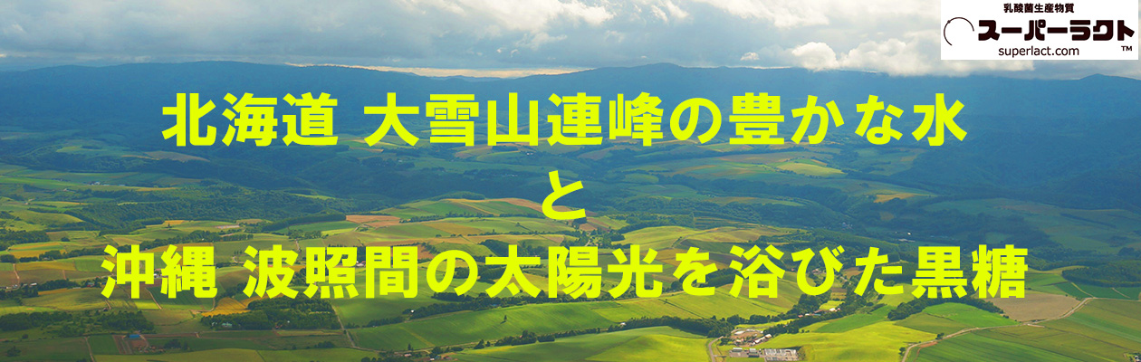 コーポレートサイトにちょうどいい国産CMS