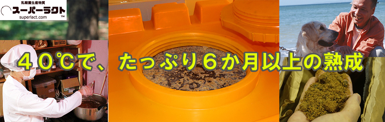 全て日本語の国産CMSだから、設置も更新も簡単、わかりやすい。